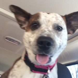 Meet your Posher, Staci